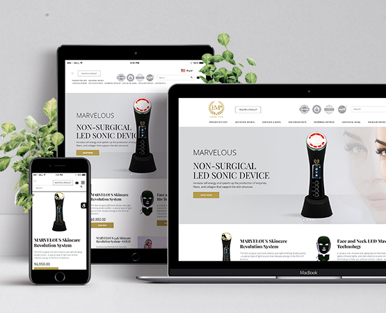 Website Development Services